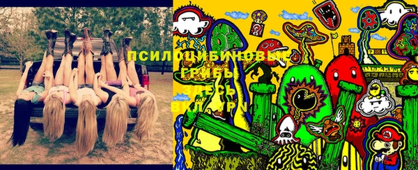 гашик Корсаков