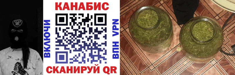 hydra ссылка Сковородино Каннабис сатива